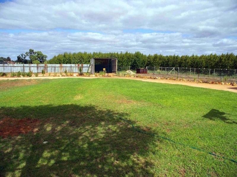 lot/24 Brewarinna Street, Renmark SA 5341