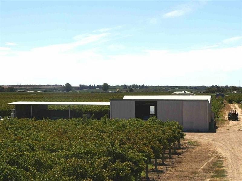 Sec/3 Nelbuck Street, Renmark SA 5341