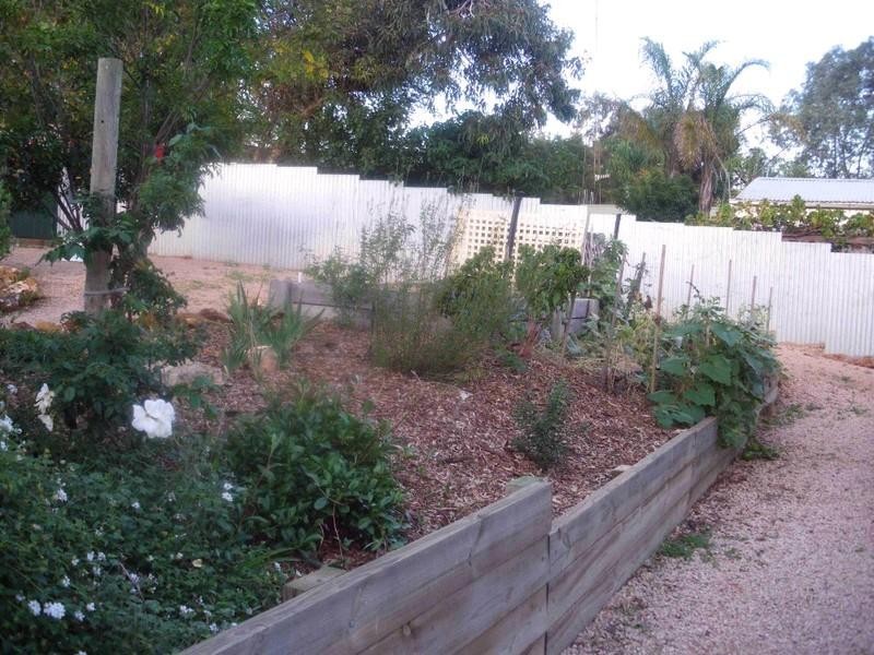 4 Elenore Avenue, Paringa SA 5340