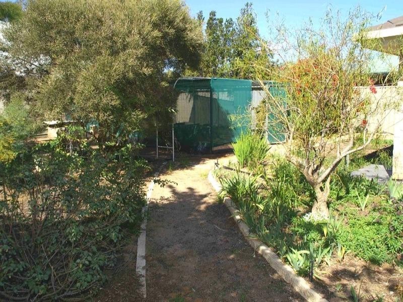 1 Nardoo Court, Renmark SA 5341