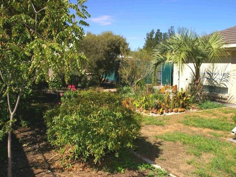 1 Nardoo Court, Renmark SA 5341