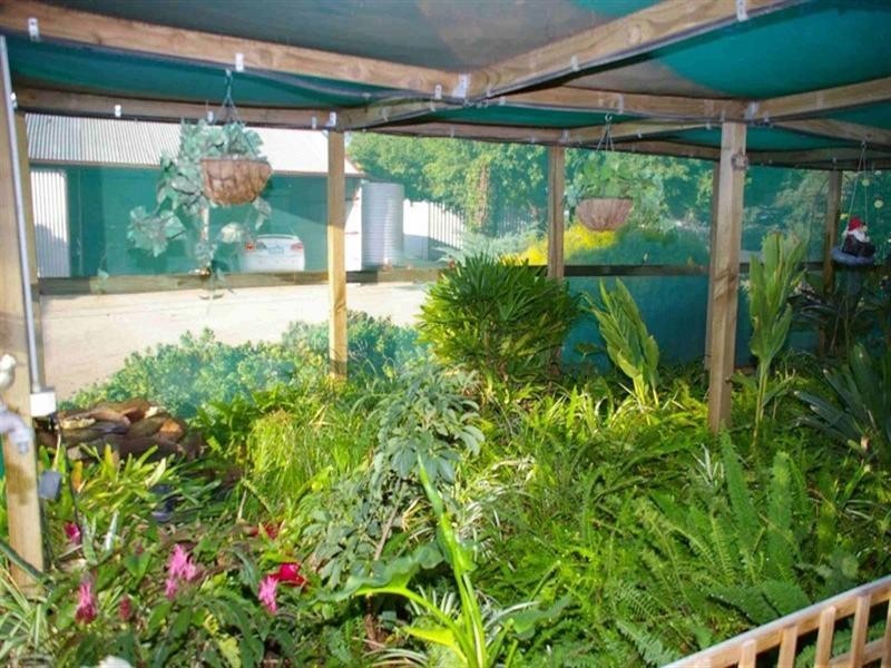 Lot/50 Twentysixth Street, Renmark SA 5341