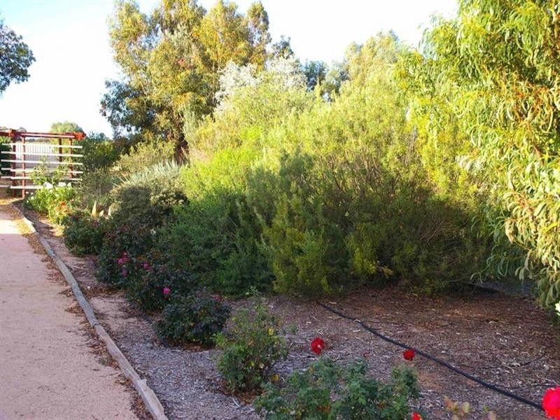 Lot/50 Twentysixth Street, Renmark SA 5341