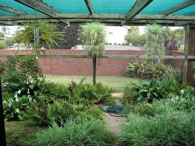 73 Murray Avenue, Renmark SA 5341