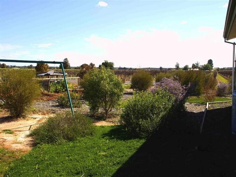 Sec/209 Wren Street, Renmark SA 5341
