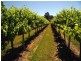 Lot/58 Kulkyne Street, Renmark SA 5341