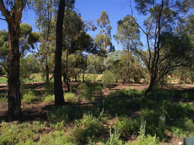 4 Pitt Court, Renmark SA 5341