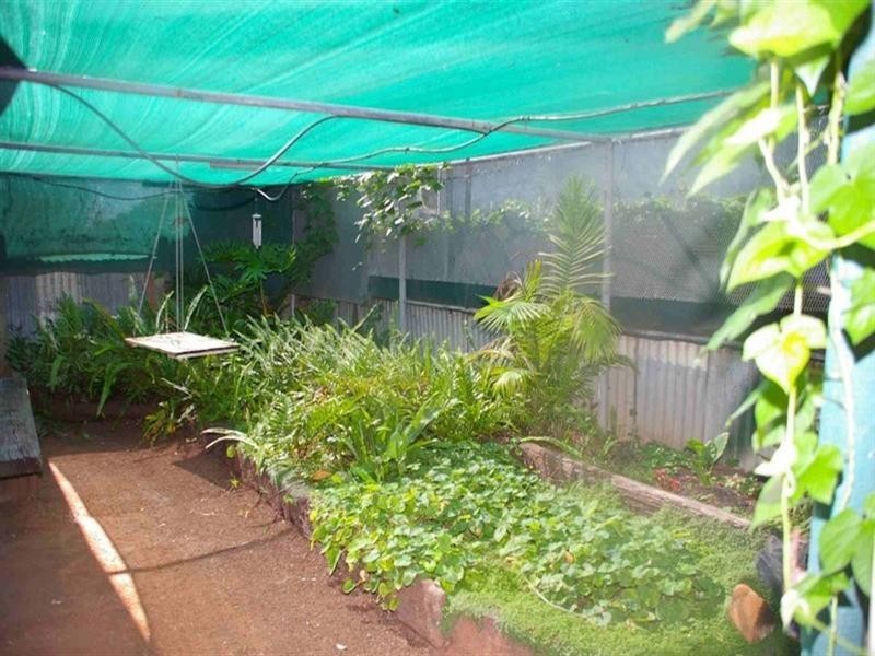 Lot/513 Kulkyne Street, Renmark SA 5341