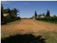 Lot/12 Renmark Avenue, Renmark SA 5341