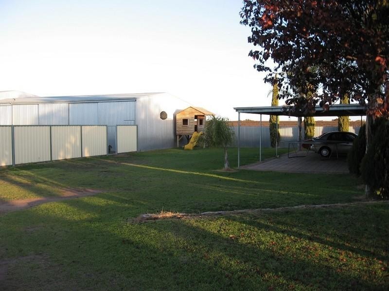 Lot 442 Rialto Street, Renmark SA 5341