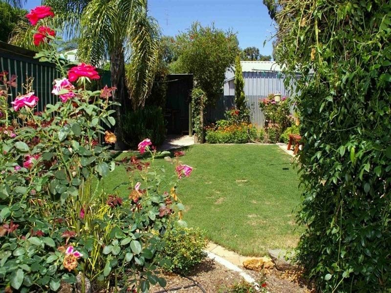 21 Kurrajong Avenue, Renmark SA 5341