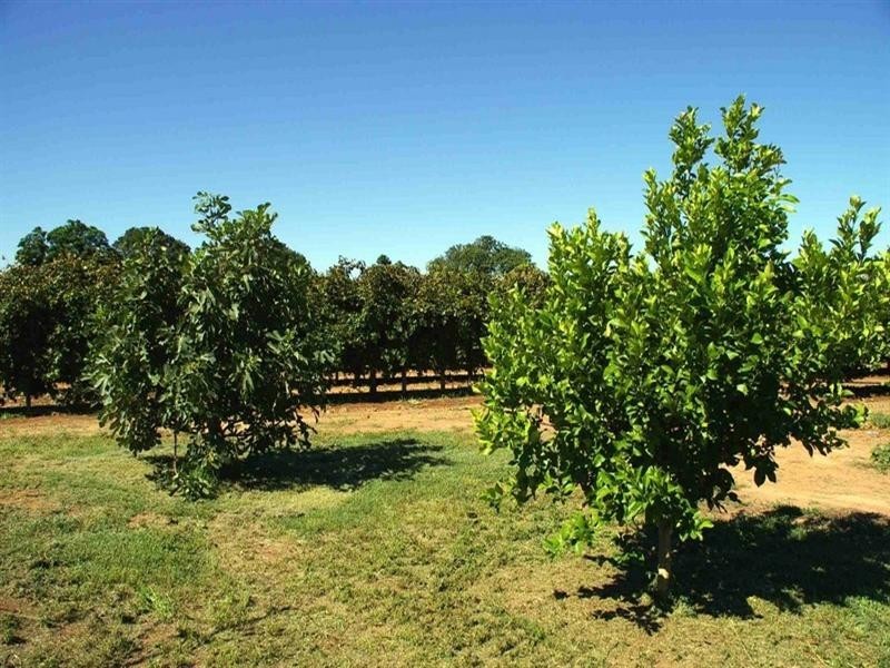 Sec/102 Warrego Street, Renmark SA 5341