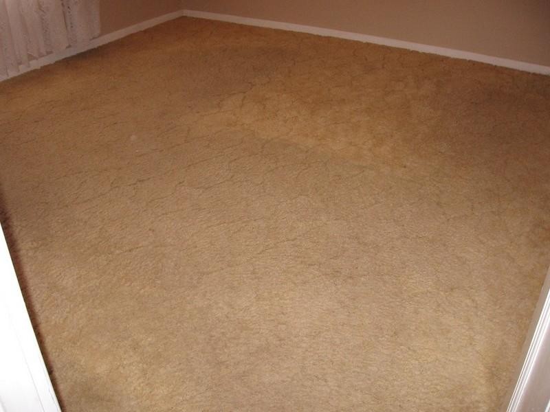 Sec 152 Begarra Street, Renmark SA 5341