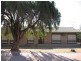 76 Pyap Street, Renmark SA 5341