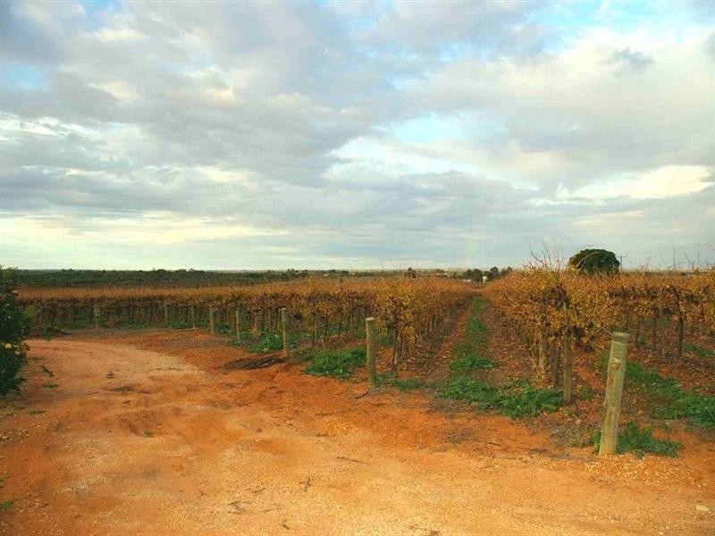 Sec/289 Cooltong Avenue, Renmark SA 5341