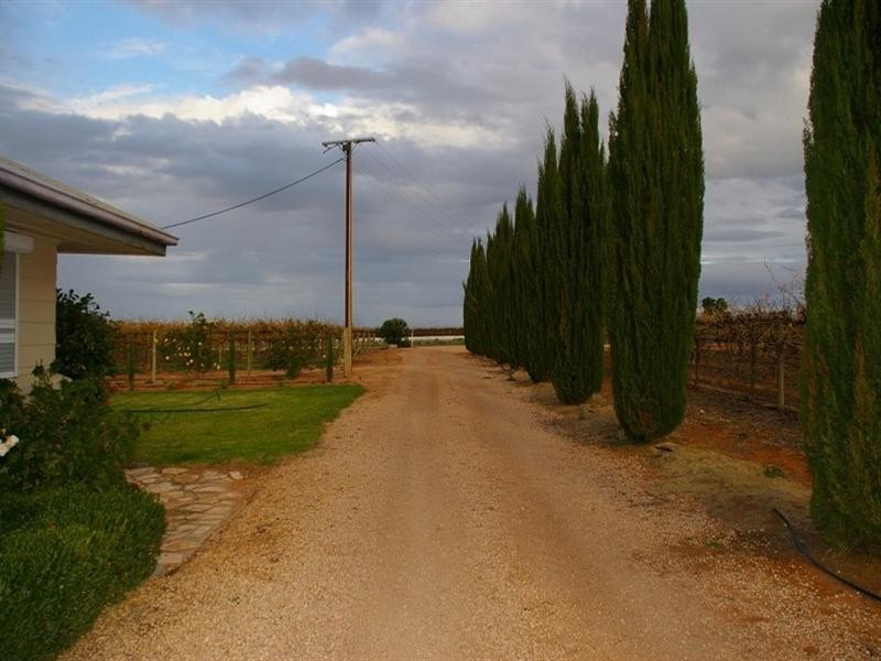 Sec/289 Cooltong Avenue, Renmark SA 5341
