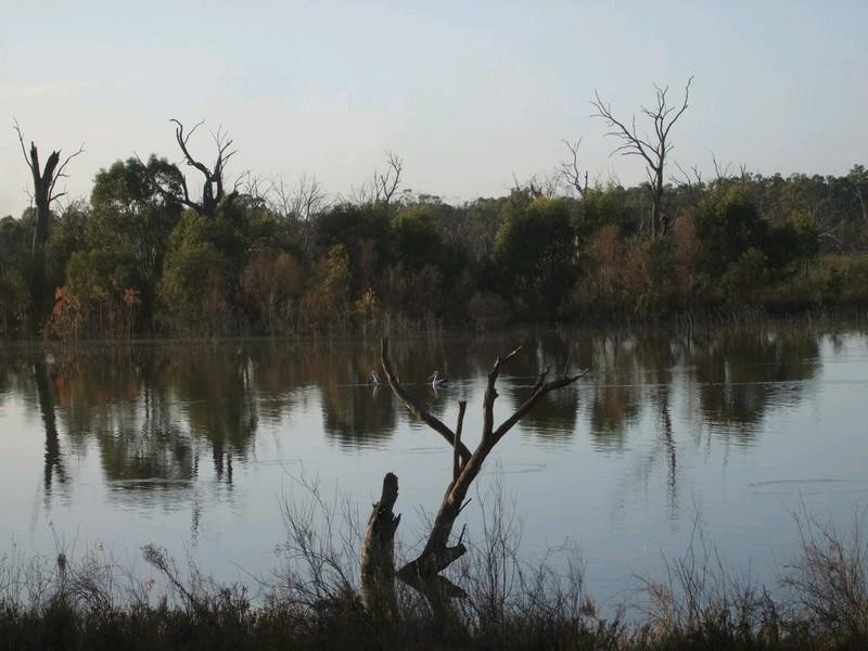 112 Townsend Street, Renmark SA 5341