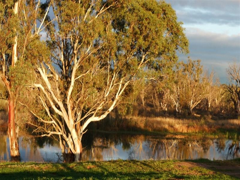 112 Townsend Street, Renmark SA 5341