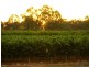 112 Townsend Street, Renmark SA 5341