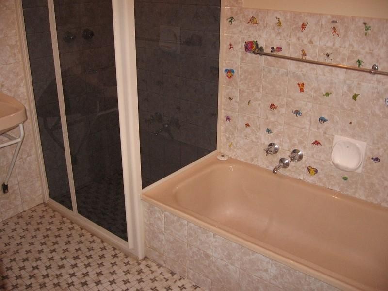 224 Twentyfirst Street, Renmark SA 5341