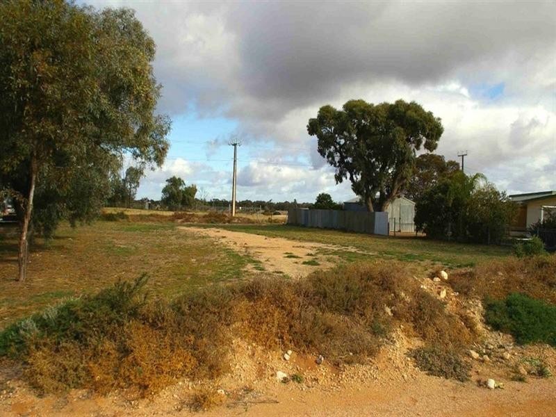207 Ral Ral Avenue, Renmark SA 5341
