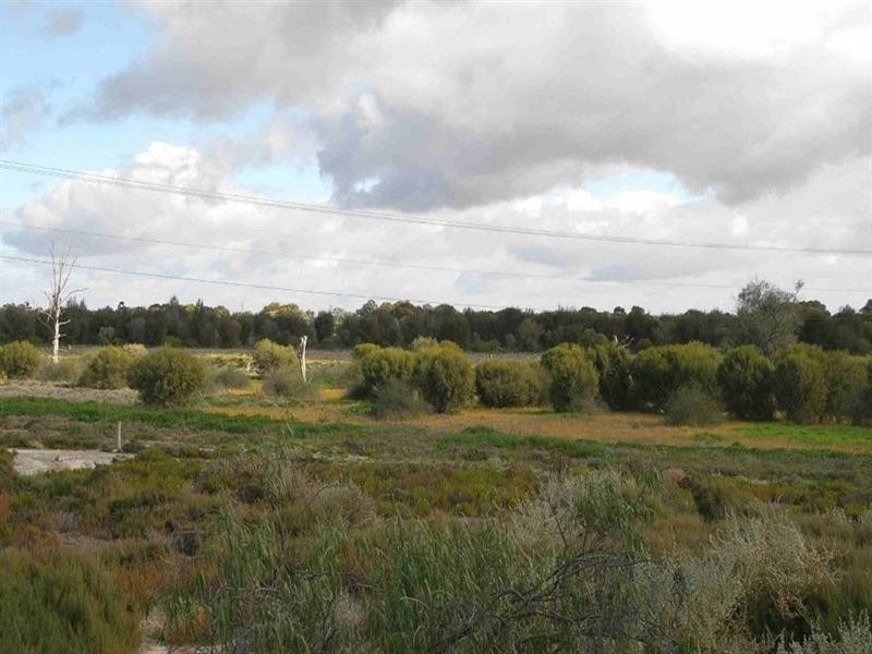 207 Ral Ral Avenue, Renmark SA 5341