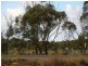 207 Ral Ral Avenue, Renmark SA 5341