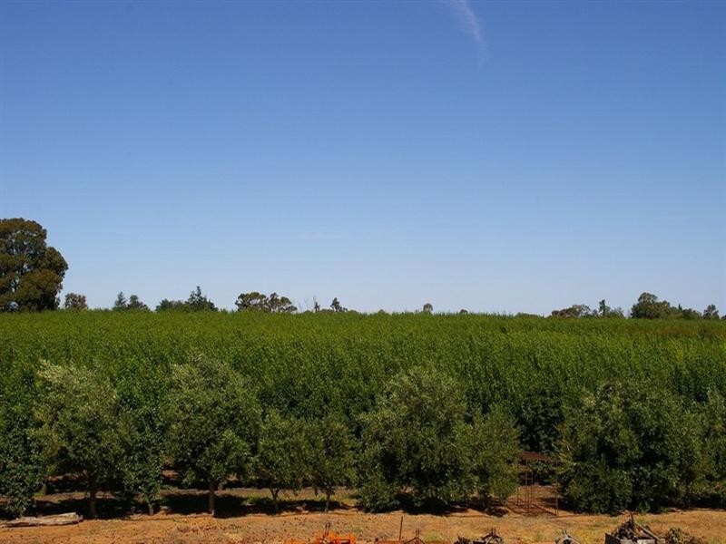 Lot/53 Tarcoola Street, Renmark SA 5341