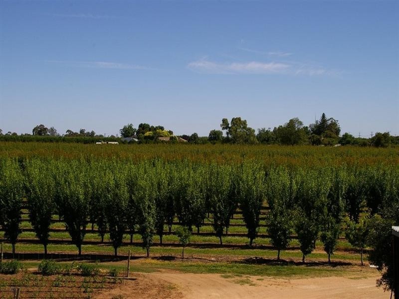 Lot/53 Tarcoola Street, Renmark SA 5341