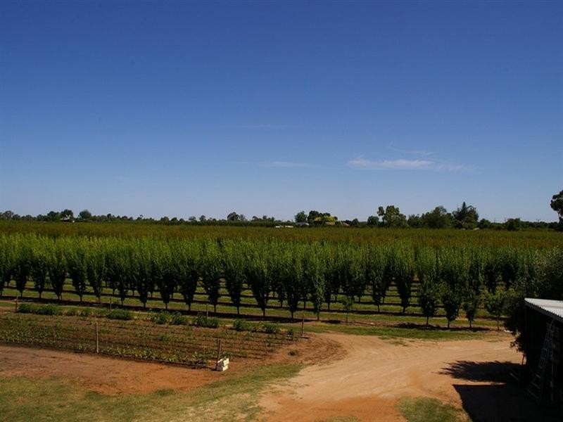 Lot/53 Tarcoola Street, Renmark SA 5341