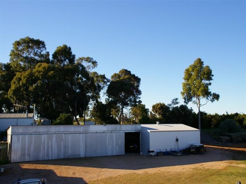 Lot/53 Tarcoola Street, Renmark SA 5341