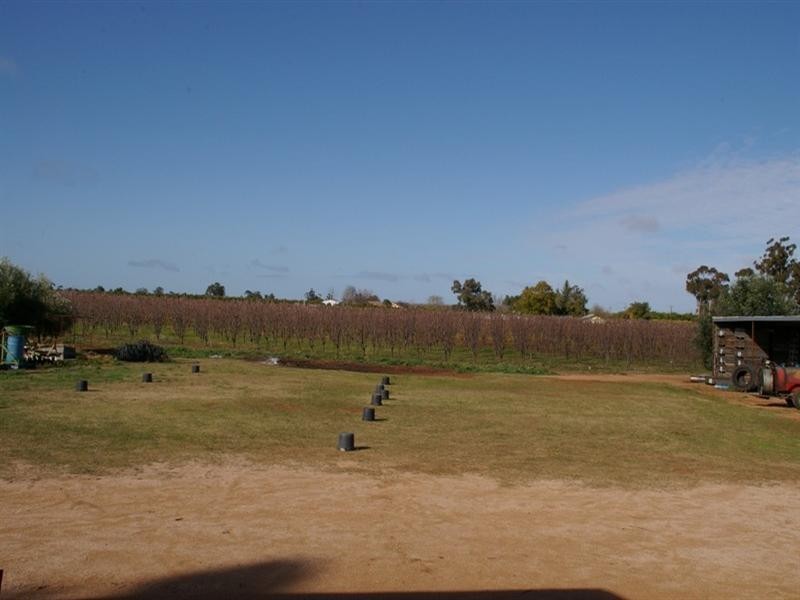 Lot/53 Tarcoola Street, Renmark SA 5341