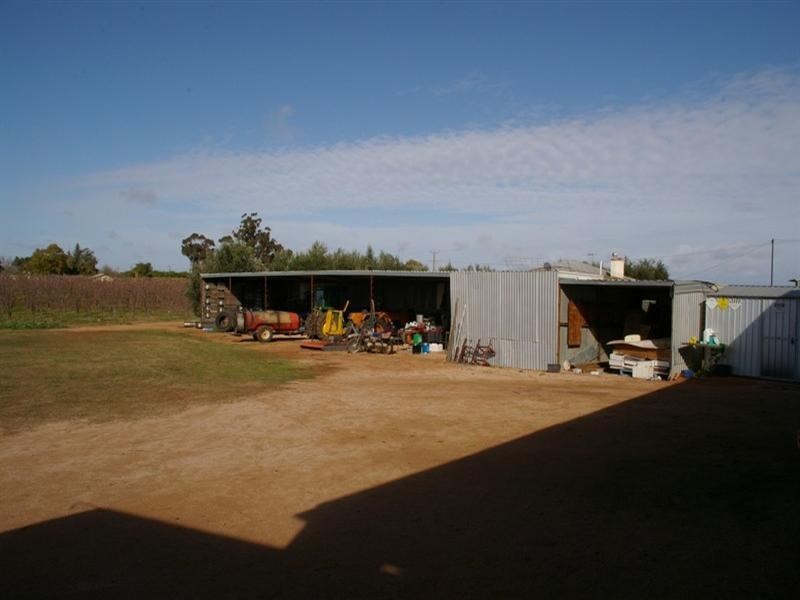 Lot/53 Tarcoola Street, Renmark SA 5341