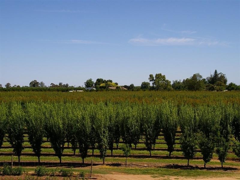 Lot/53 Tarcoola Street, Renmark SA 5341