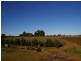 Lot/53 Tarcoola Street, Renmark SA 5341