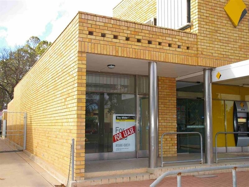 12 Ral Ral Avenue, Renmark SA 5341