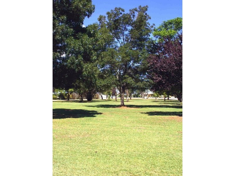 Lot/1 Renmark Avenue, Renmark SA 5341