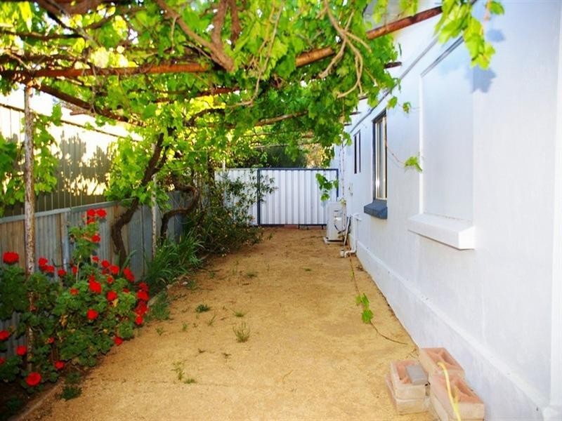 20 Lexia Street, Berri SA 5343