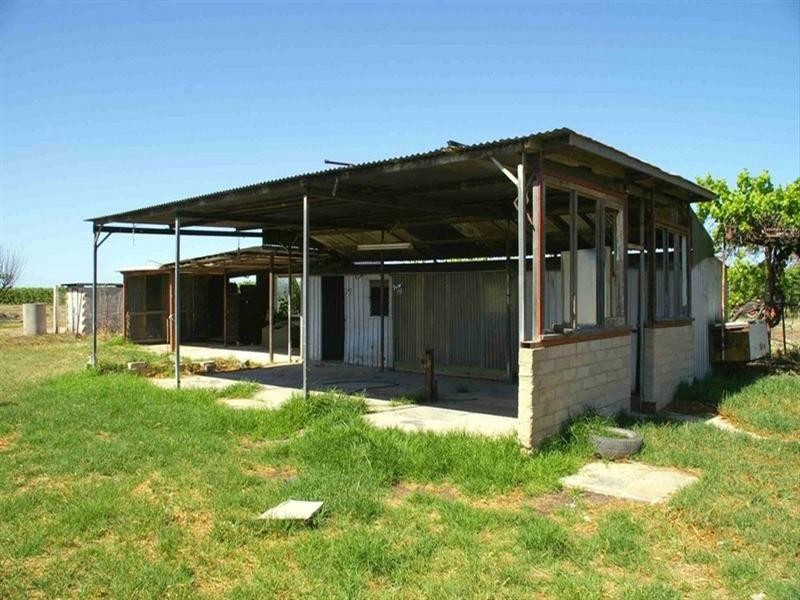 56 Culgoa Street, Renmark SA 5341
