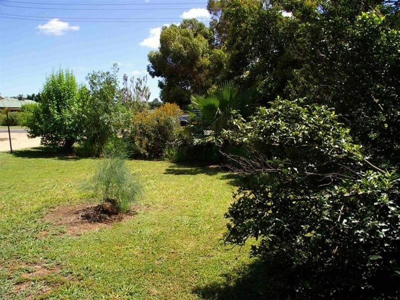 291 Ontario Street, Renmark SA 5341