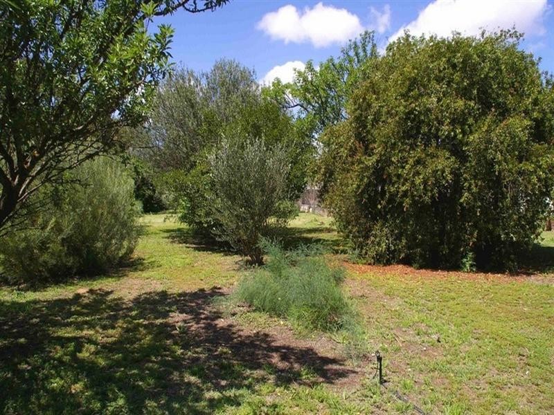 291 Ontario Street, Renmark SA 5341