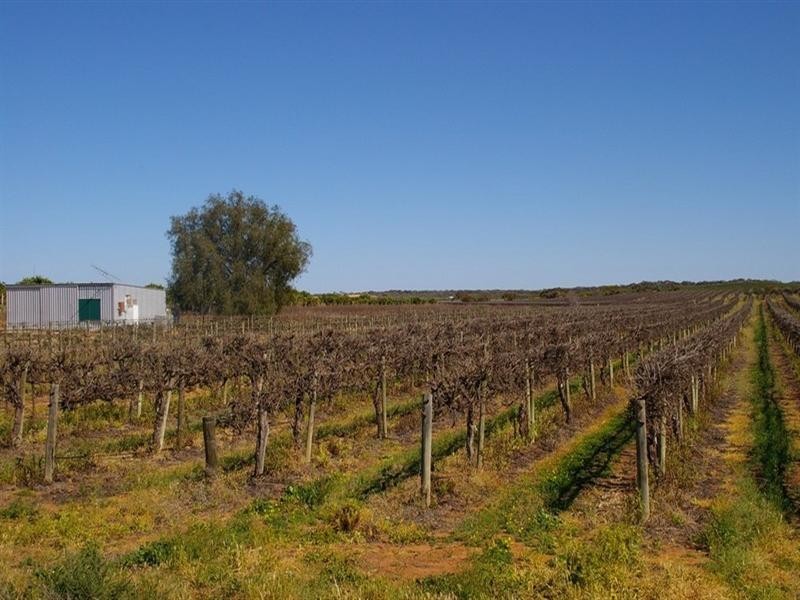 LOT 28 Chowilla Street, Renmark SA 5341