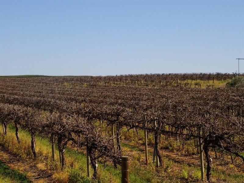 LOT 28 Chowilla Street, Renmark SA 5341