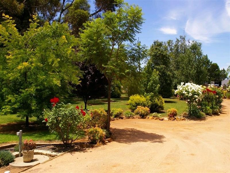 Lot/53 Murtho Road, Paringa SA 5340