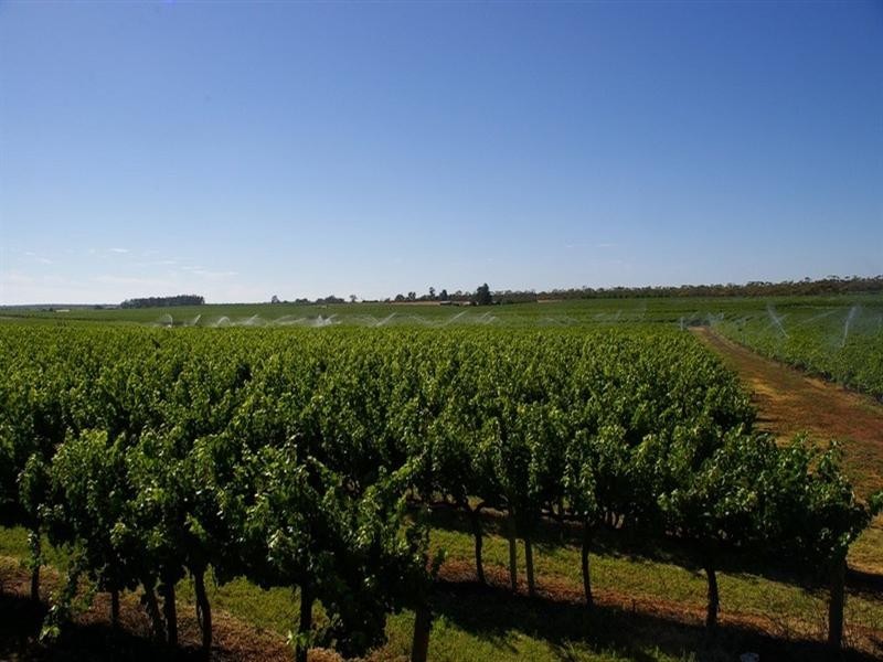 Lots/2 & 3 Thiele Road, Barmera SA 5345