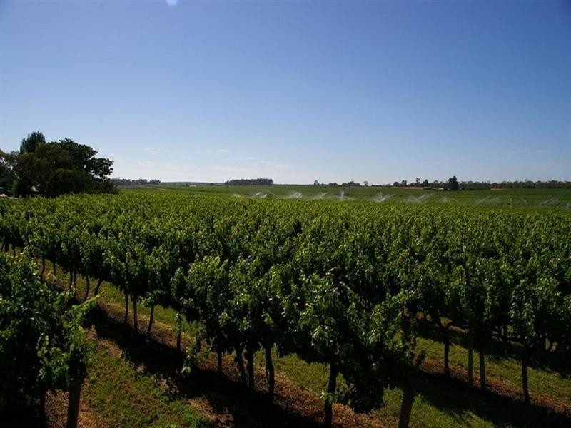 Lots/2 & 3 Thiele Road, Barmera SA 5345