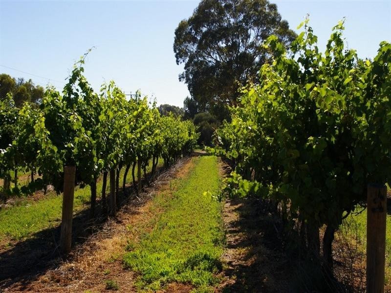 Lots/2 & 3 Thiele Road, Barmera SA 5345