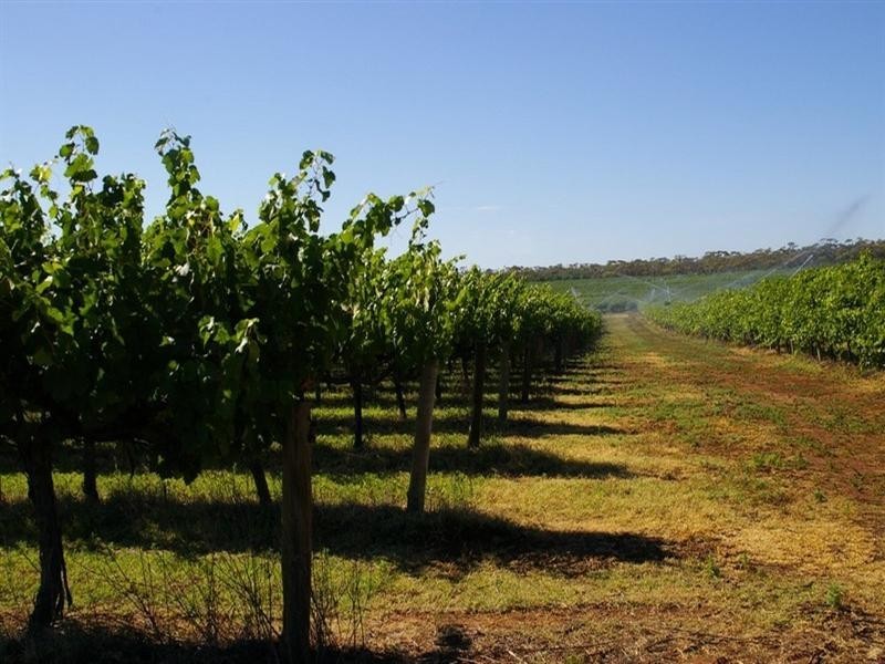 Lots/2 & 3 Thiele Road, Barmera SA 5345