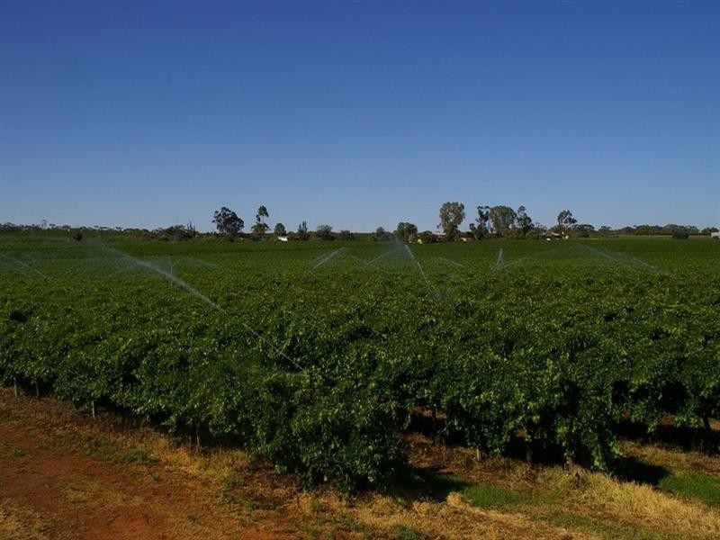 Lots/2 & 3 Thiele Road, Barmera SA 5345