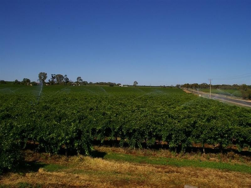 Lots/2 & 3 Thiele Road, Barmera SA 5345